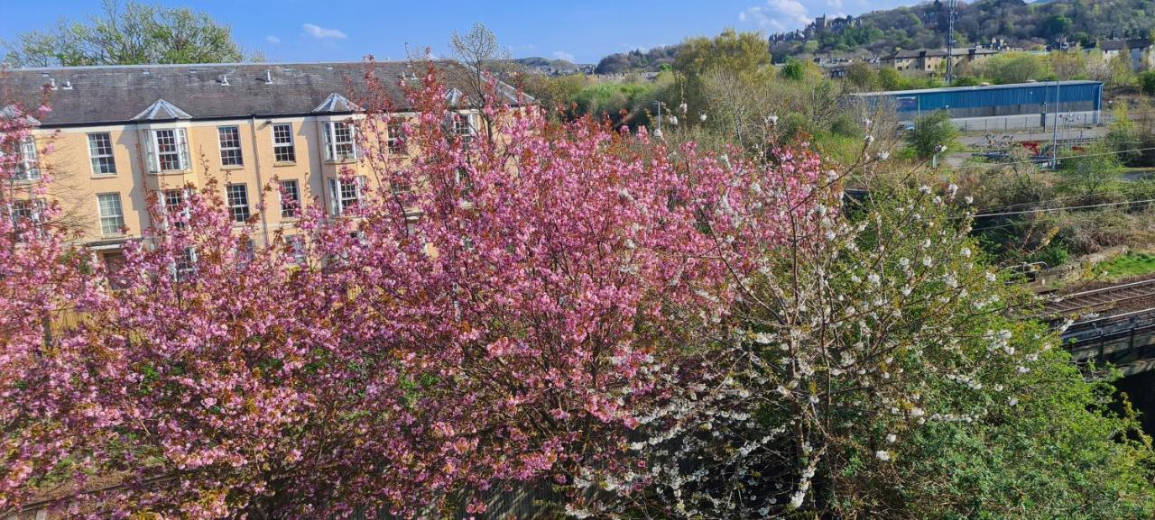 Penthouse Sleeps 11 * EDI